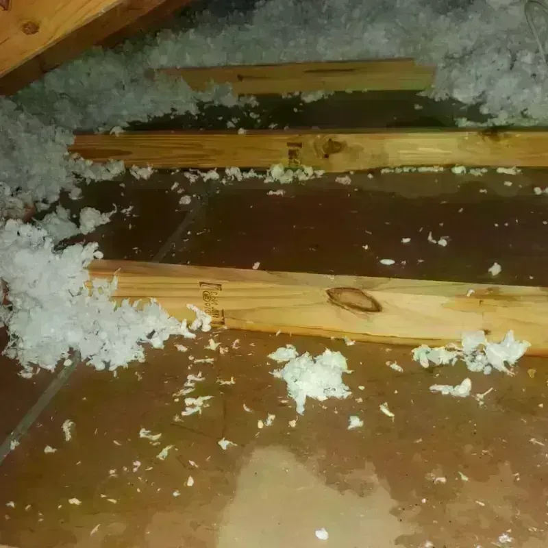 Attic Water Damage in Brunswick County, VA